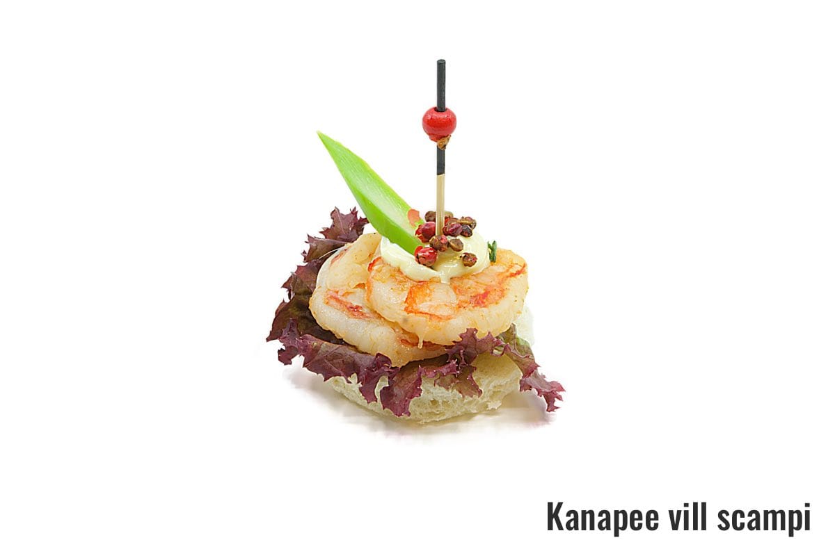 1508-kanapee-vill-scampi
